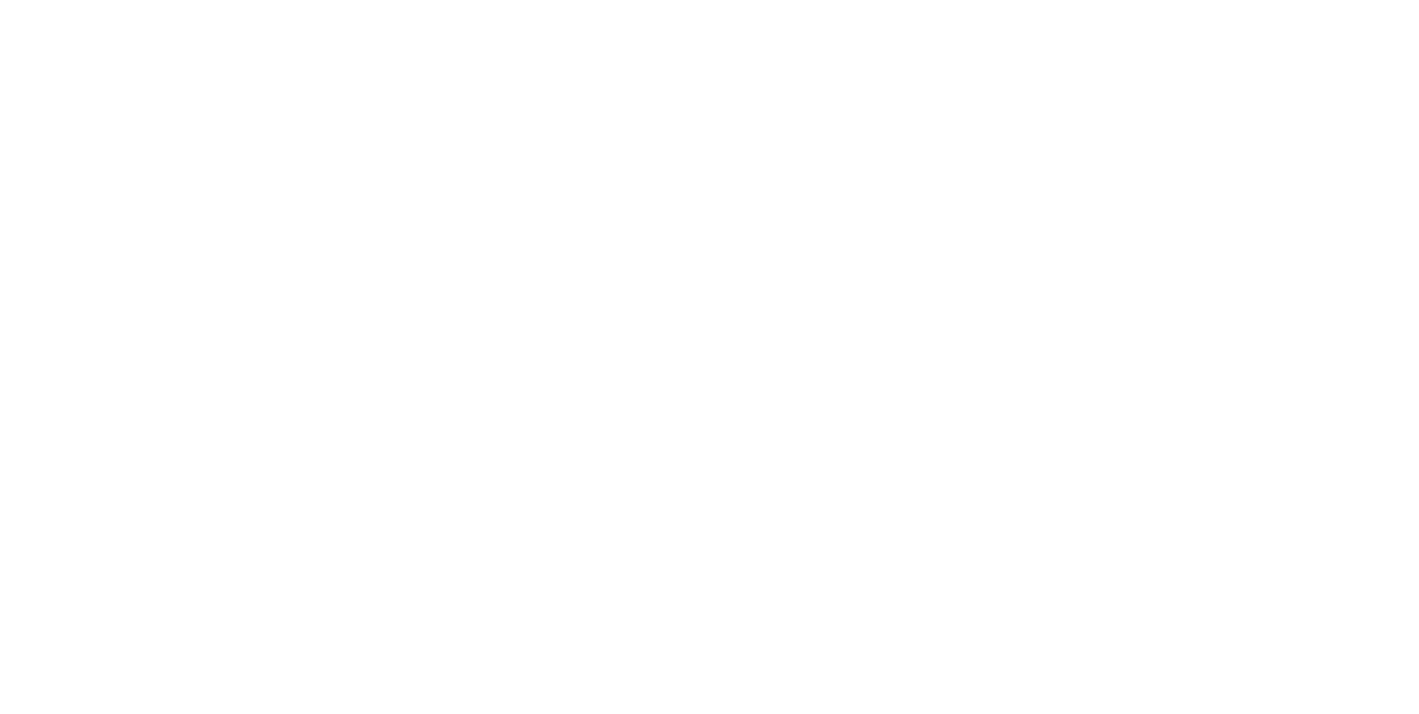 Notion Cash Flow