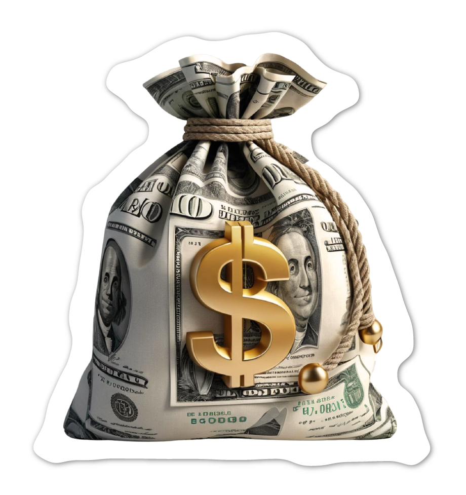 Bolsa de dinero